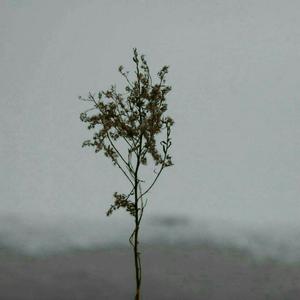 港台女人做爱视频
