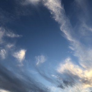 港台女人做爱视频
