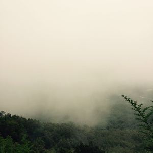 港台女人做爱视频
